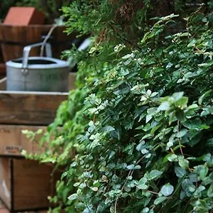 Hotel Garden, Kyōto